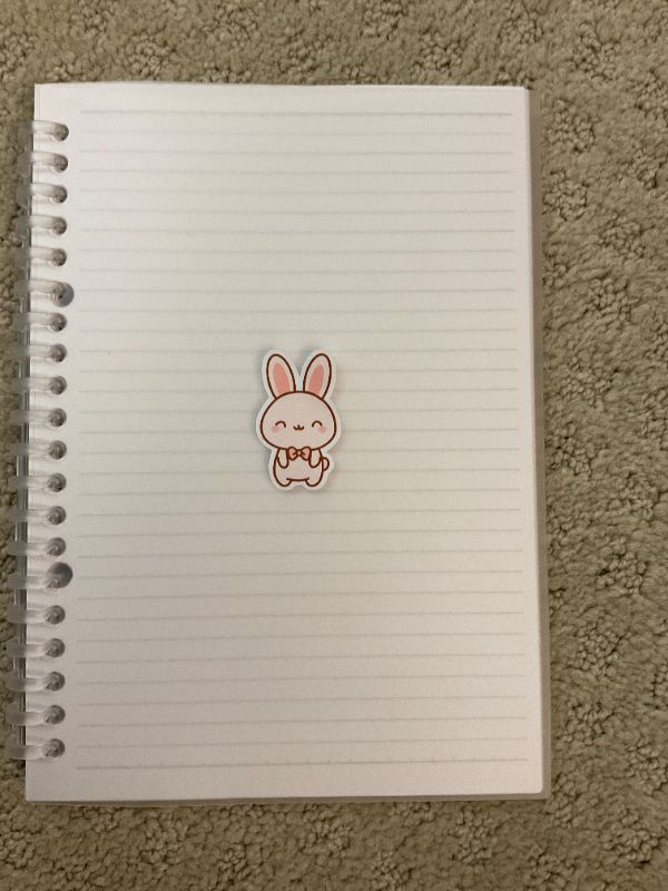 Velvet Ribbon Bunny (Small)