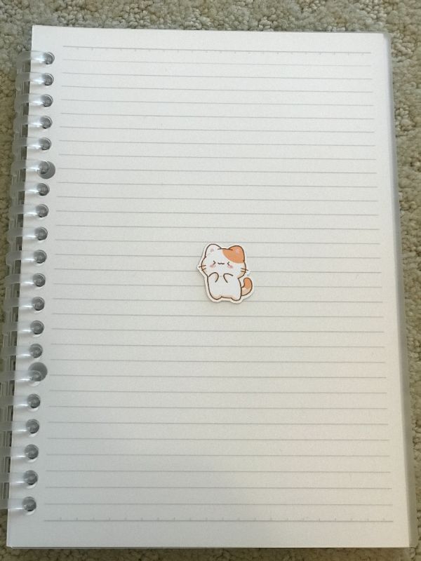 Excited Cat (Small)
