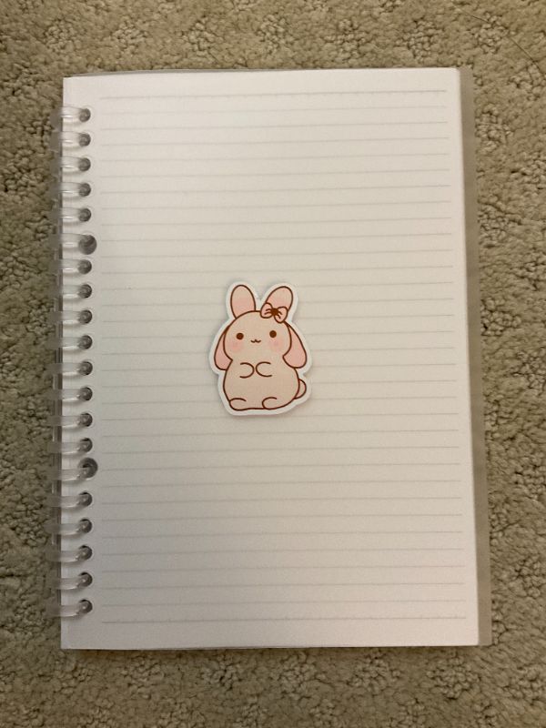 Rosy Bow Bunny (Big)