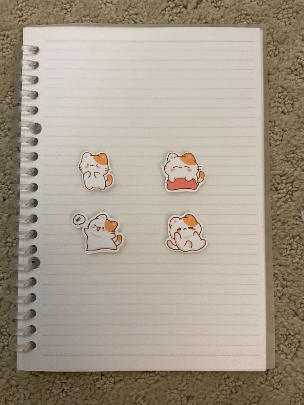 Cat Sticker Pack (Small 4 count)