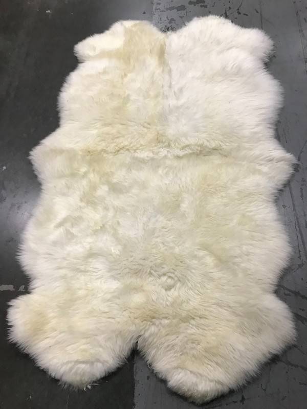 Aviva Shag Rug (3X6)