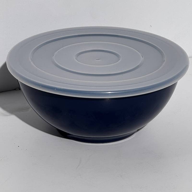 Bowl Decorative #6