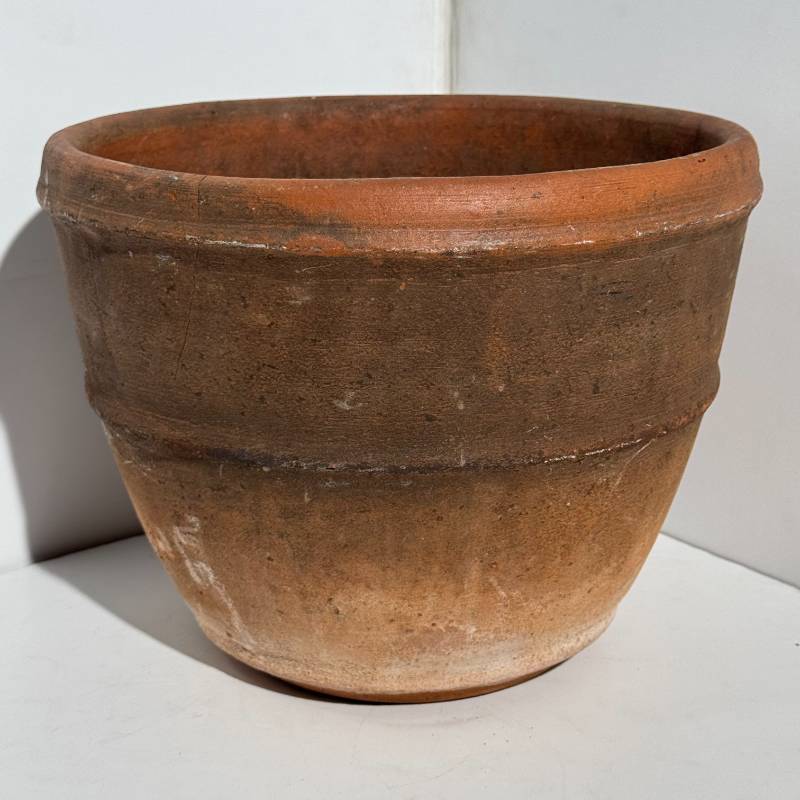 Pot Prop #1