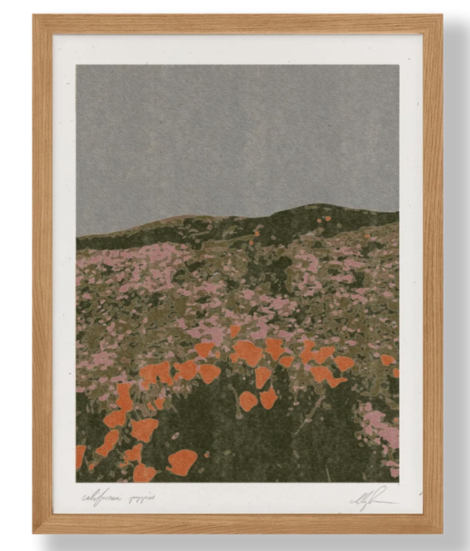 California Poppies Art Print