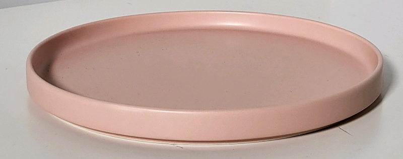 Stone Lane Pink Plates