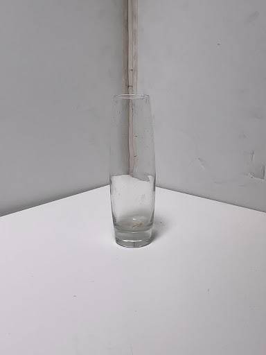 Crystal Flower Vase