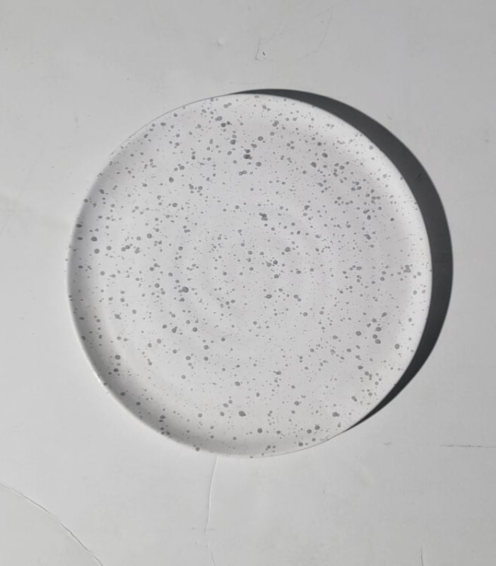 World Market Speckled Grey Dinner Plate