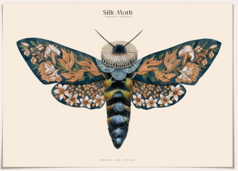 Silk Moths No. 13 Art Print