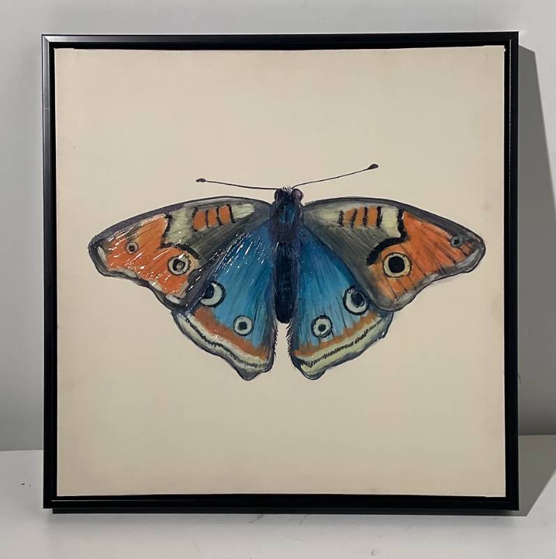Butterfly Wall Art