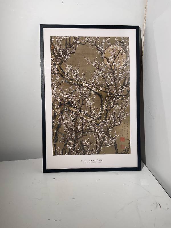 Ito Jakuchu - White Plum Art Print