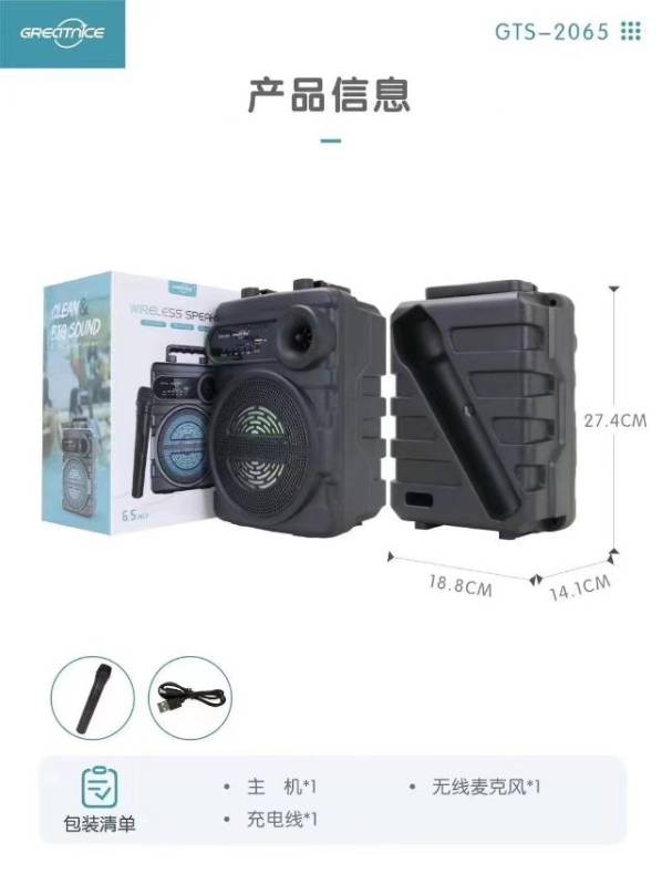 GTS 2065 - 6.5" BT Speaker with Wireless Mic