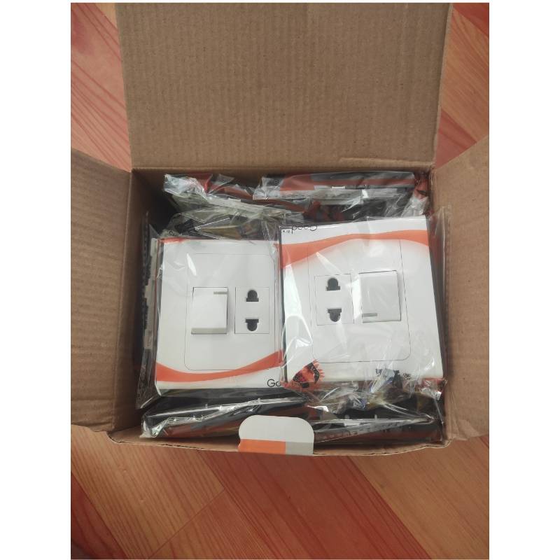 SK 1Gang 1Sockets (1x10)