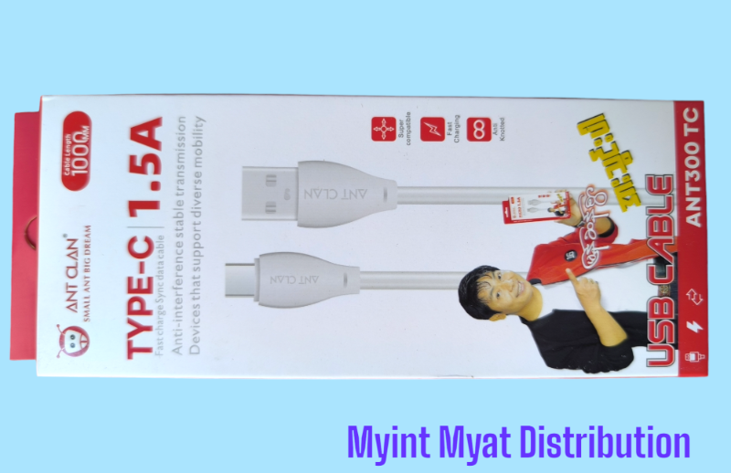 Ant Clan A300 - Type C Cable