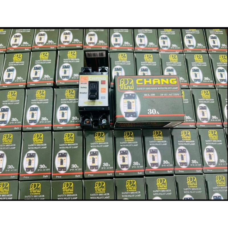 Chang 20A Braker