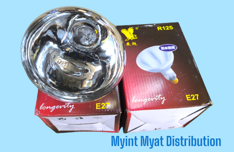 R125 - 275W အပူပေးမီးသီး - E27