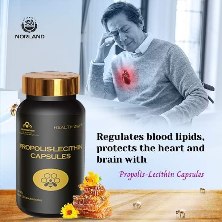 PROPOLIS LECITHINE