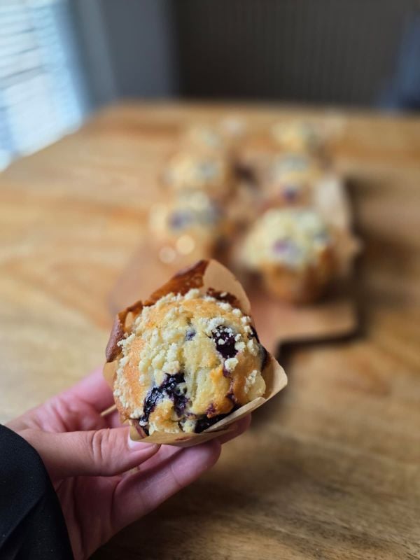Blueberry Muffin x 6 pieces