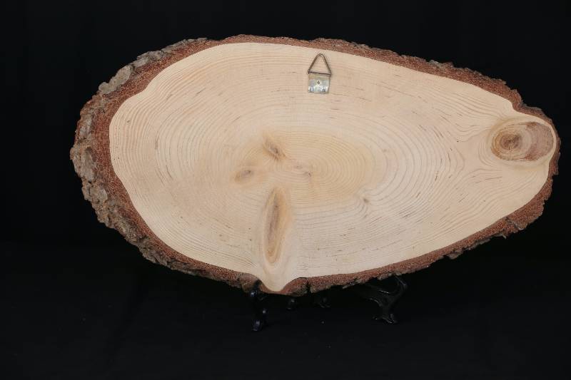 Handcrafted Wooden Plaque – "The Righteous Shall Grow Like a Cedar in Lebanon" (Psalm 92:12)
لوحة خشبية منقوشة يدويًا