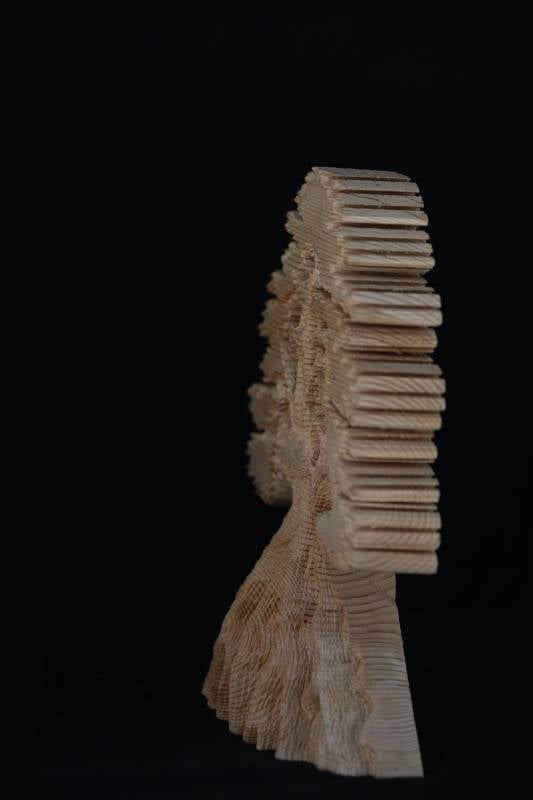 Handcrafted Cedar Wooden Tree Sculpture – Natural Wood Art Decor
منحوتة شجرة ارز خشبية يدوية – ديكور فني طبيعي من الخشب