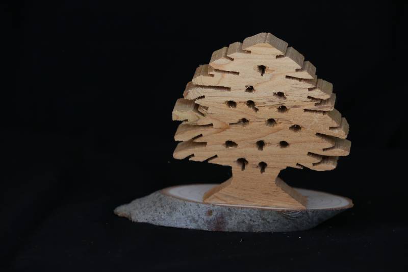 Hand-Carved Wooden Cedar Tree Sculpture
منحوتة شجرة الأرز محفورة يدويًا من الخشب