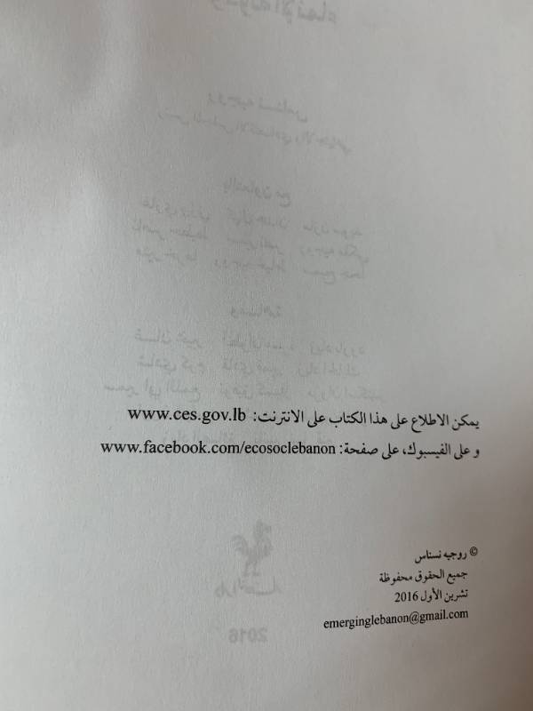 نهوض لبنان نحو دولة الانماء