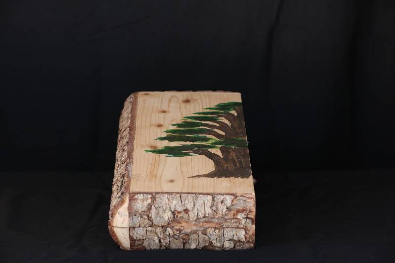 Handcrafted Wooden Backgammon Box – Cedar Tree Design
صندوق لعبة الطاولة من الخشب الطبيعي – تصميم يدوي بزخارف الأرز اللبناني