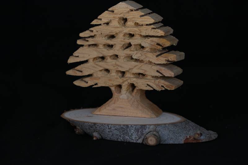 Hand-Carved Wooden Cedar Tree Sculpture
منحوتة شجرة الأرز محفورة يدويًا من الخشب