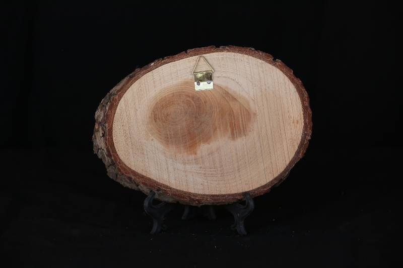 Handcrafted Wood Slice Plaque – “God Bless Our Home” with Book and Cedar Tree Design
 لوحة خشبية منقوشة يدويًا –  بتصميم كتاب وشجرة ارز