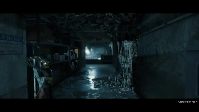Death Stranding Director's Cut (PS5)