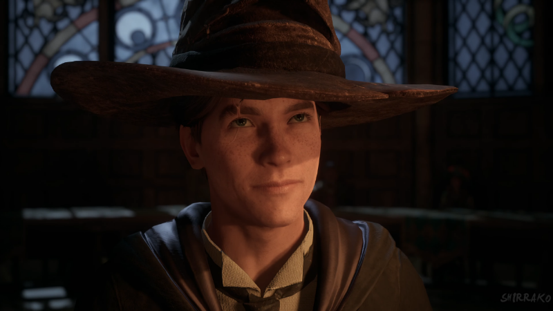 Hogwarts Legacy (PS5)