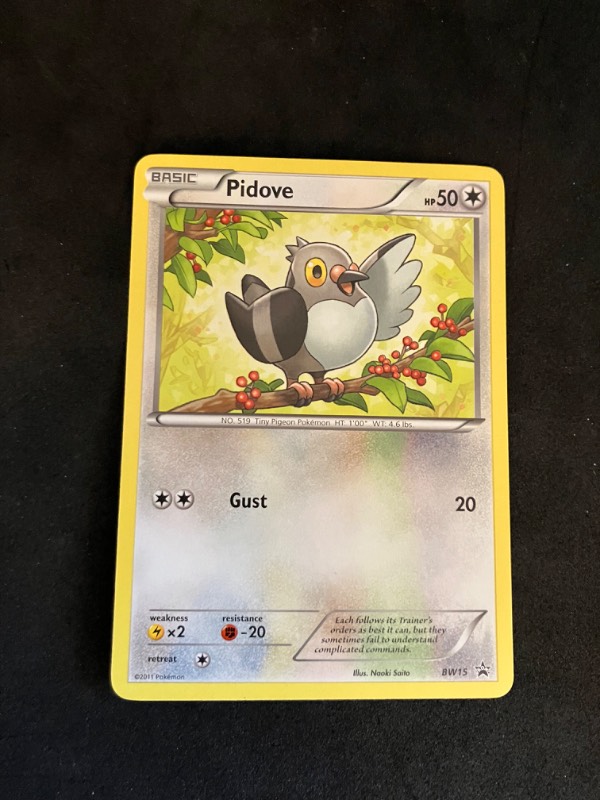 2013 Black and White Plasma Blast Pokemon Black Star Promo Pidove BW15