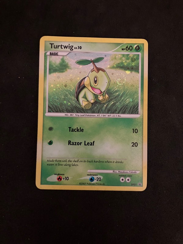 2007 Diamond and Pearl Promo Turtwig Lv. 10 DP01