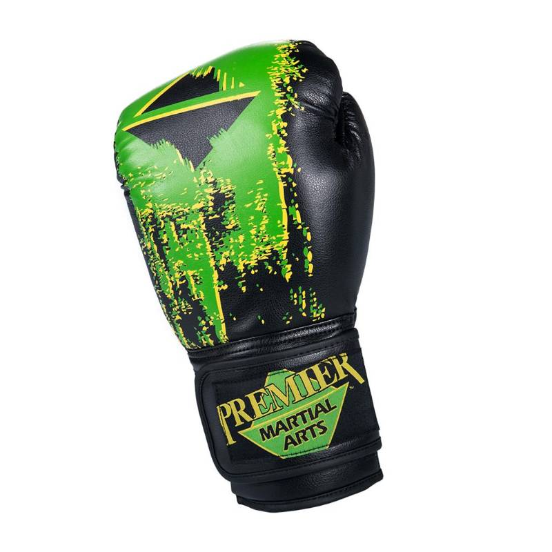 PMA Boxing Gloves