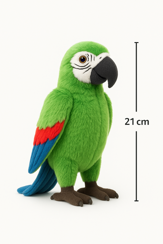 Green  maccow parrot