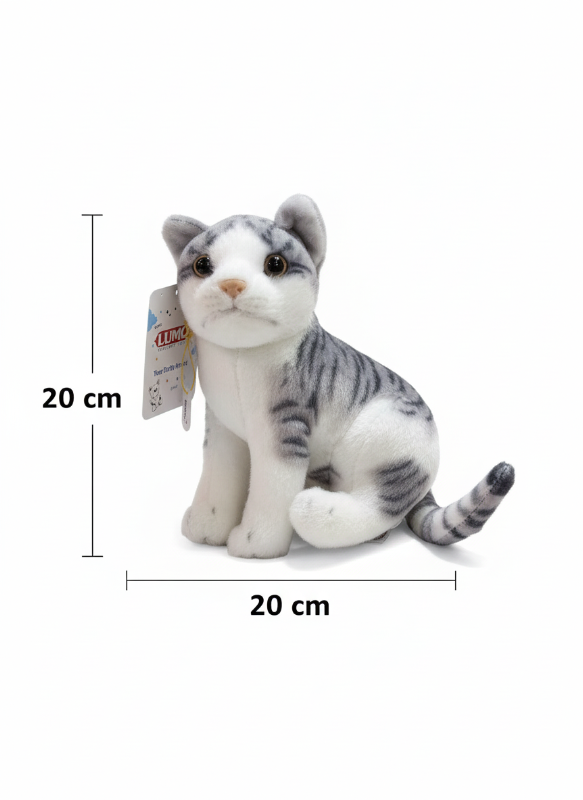 Grey cat