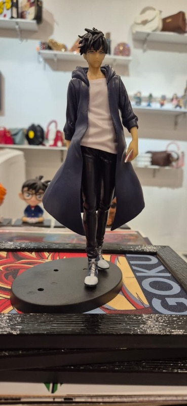 Sung Jin-woo-Solo levering