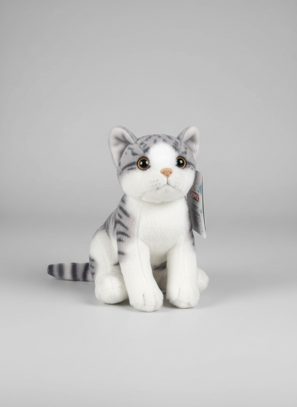 Grey cat