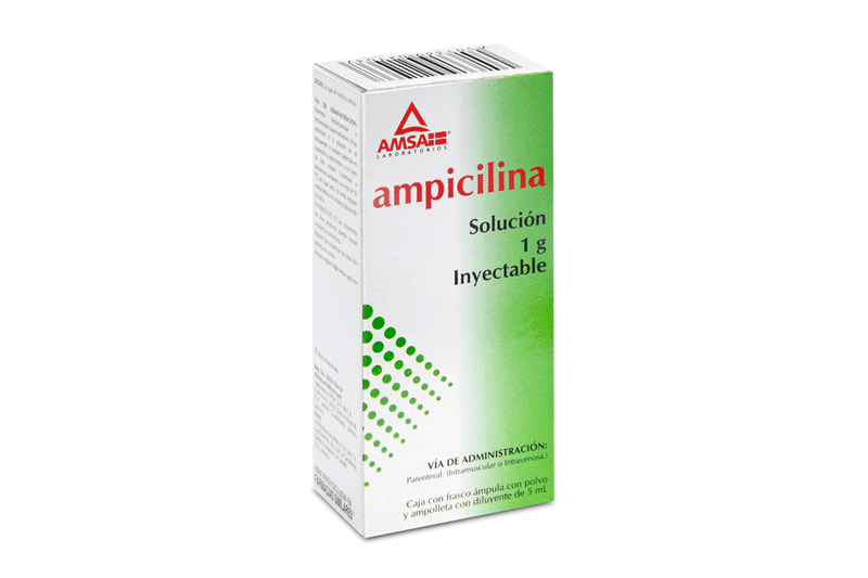 Ampicilina 1gr sol iny