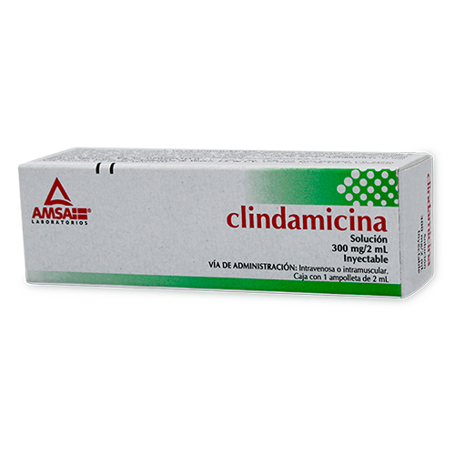 clindamicina 300mg 1amp