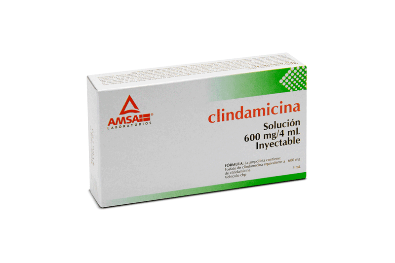 clindamicina 600mg 1amp