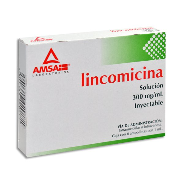 lincomicina 300mg 6amp