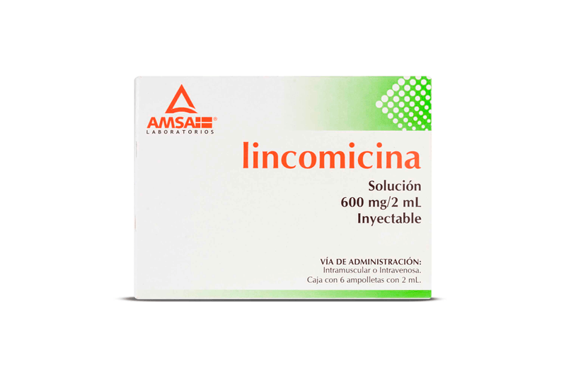 lincomicina 600mg 6amp