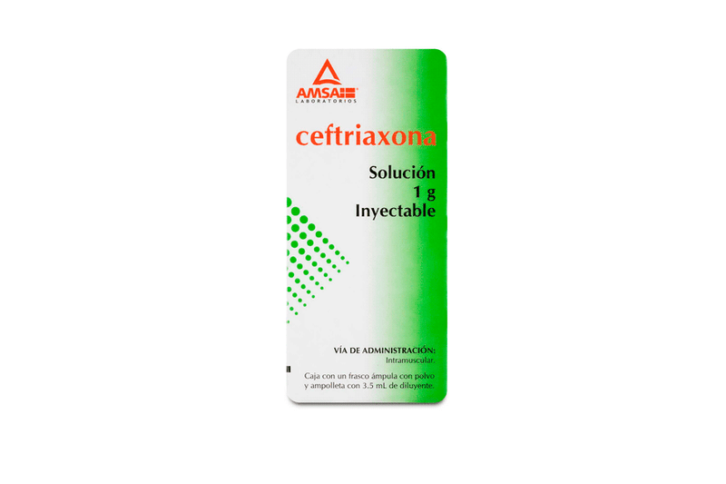 ceftriaxona i.m. 1g 3.5ml 1 amp