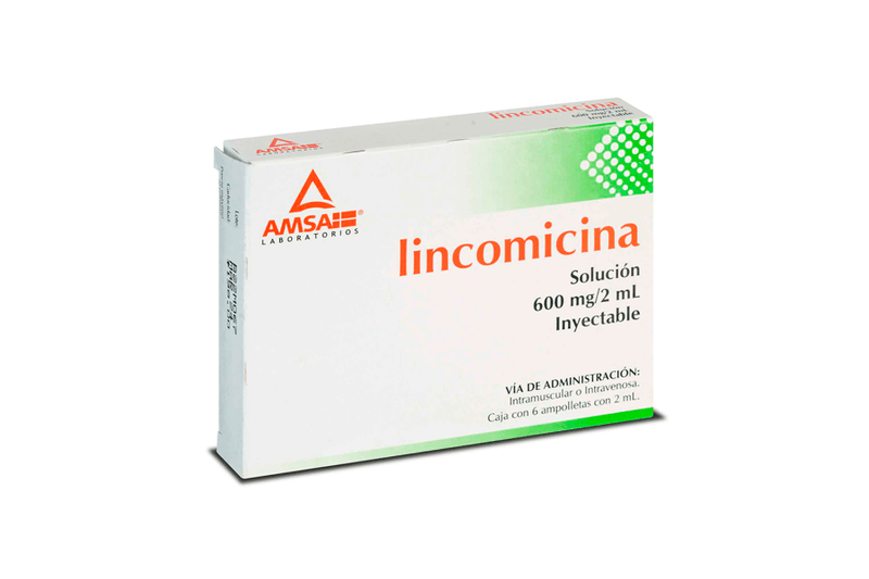 lincomicina 600mg 6amp