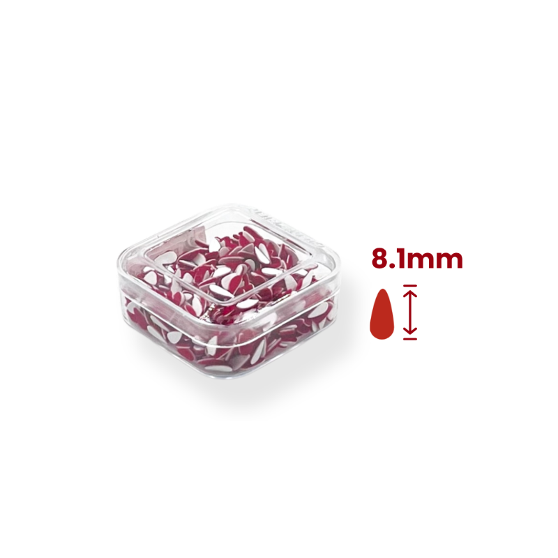 Savitri - DibbiBox