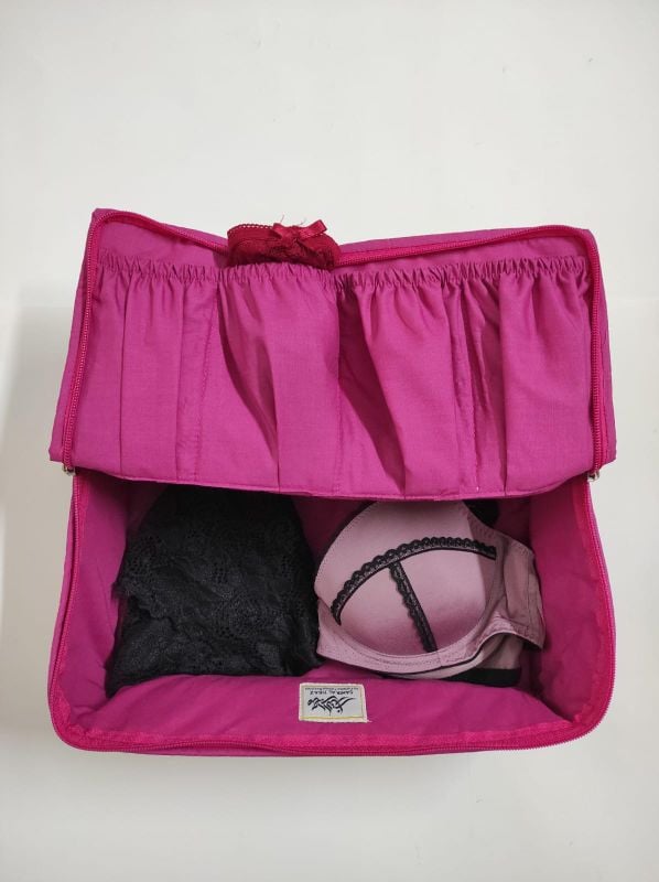 Lingerie Organiser D1