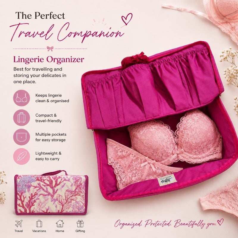 Lingerie Organiser D2