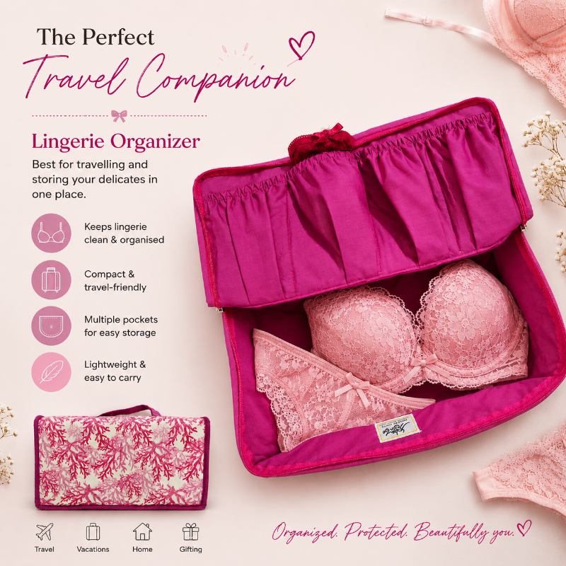 Lingerie Organiser D1