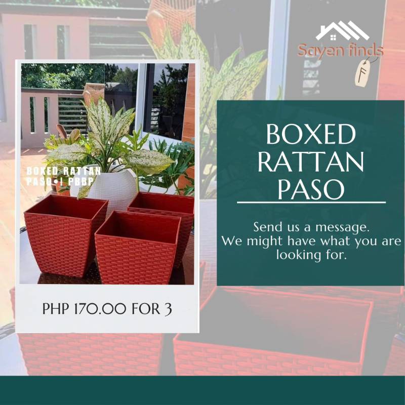 Boxed Rattan Paso
3 pcs