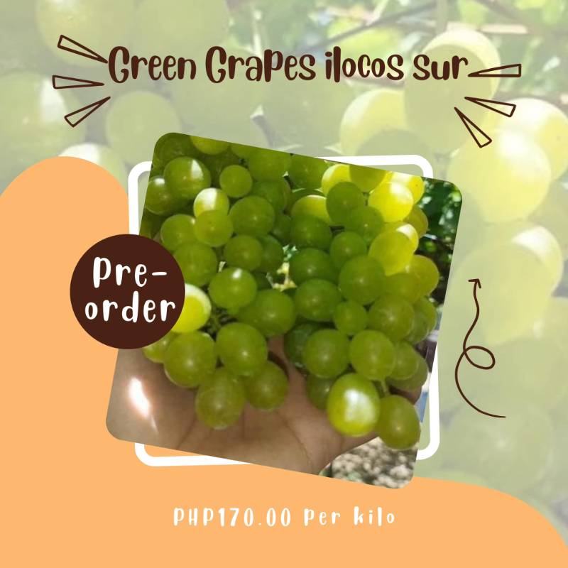 Green Grapes ilocos sur